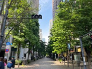 オフィス近くには丸の内仲通りがあり、散歩にうってつけです