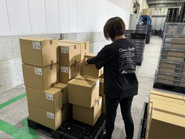 倉庫現場の作業風景②