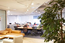 26卒新卒採用／PRのプロとしてアイデアで社会にインパクトを与えませんか？
