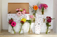 SNSで話題のお花のサブスクでアルバイト！CSスタッフ募集中