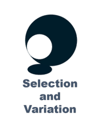 セレクションアンドバリエーション株式会社の会社情報