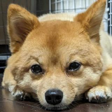 Yasuyuki Sato