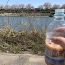 齋藤 あかり