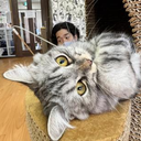 kouichi itagaki