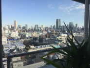 窓からの景色はこんな感じ。空が抜けてて気持ちよし。