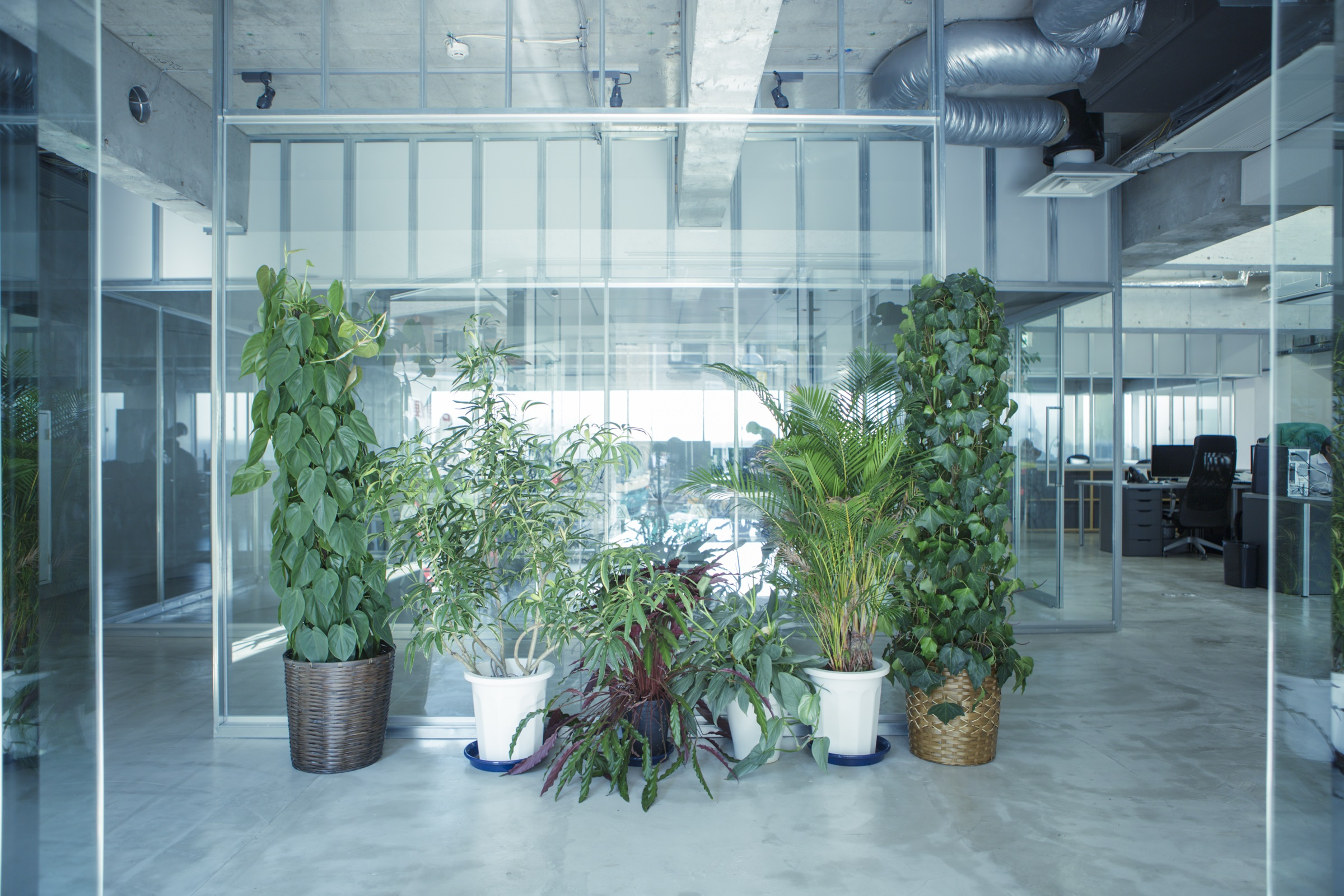 【24卒向け】web会社説明会を4月に開催します！