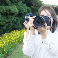 yu ashino