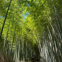 金城 拓利
