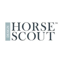 HorseScout  Design