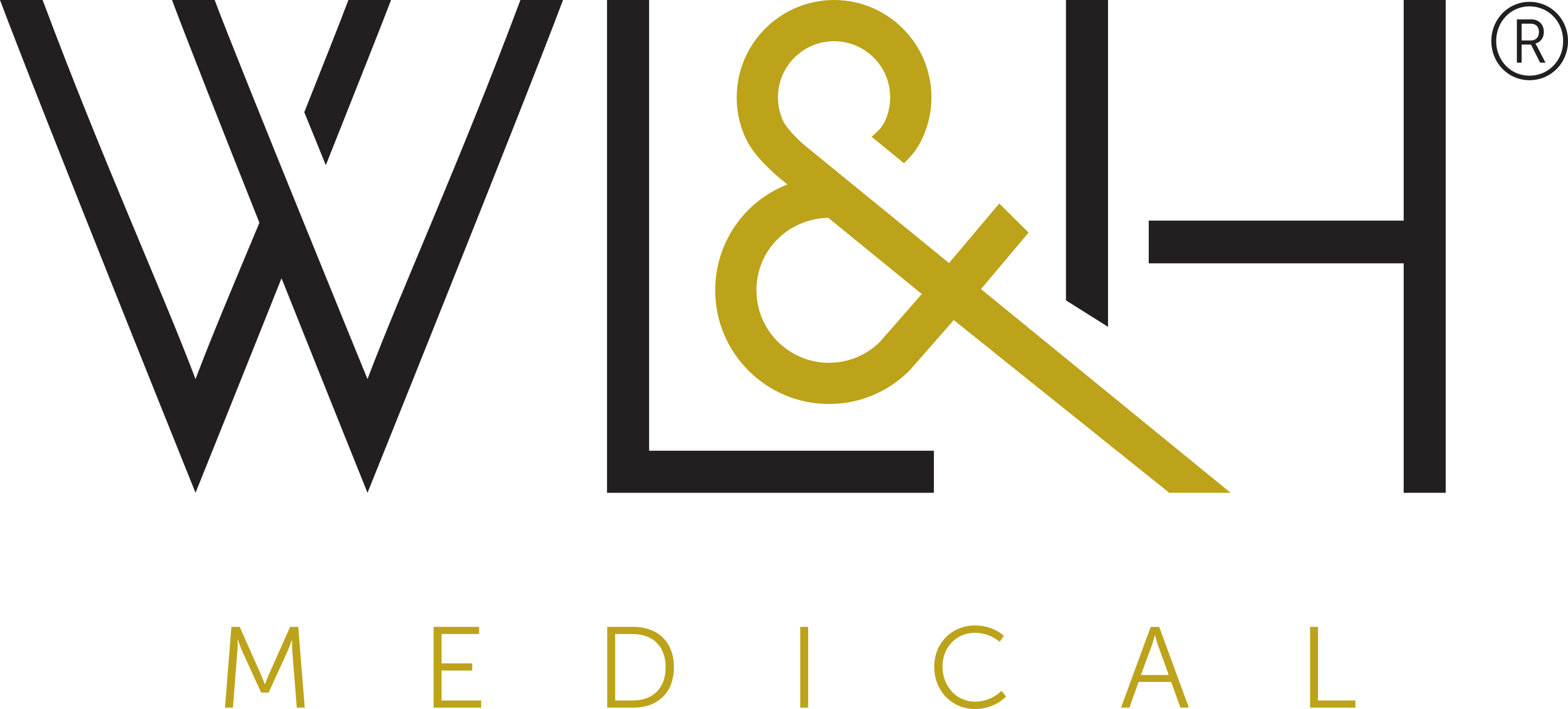 Wellness Lifestyle & Health Medical