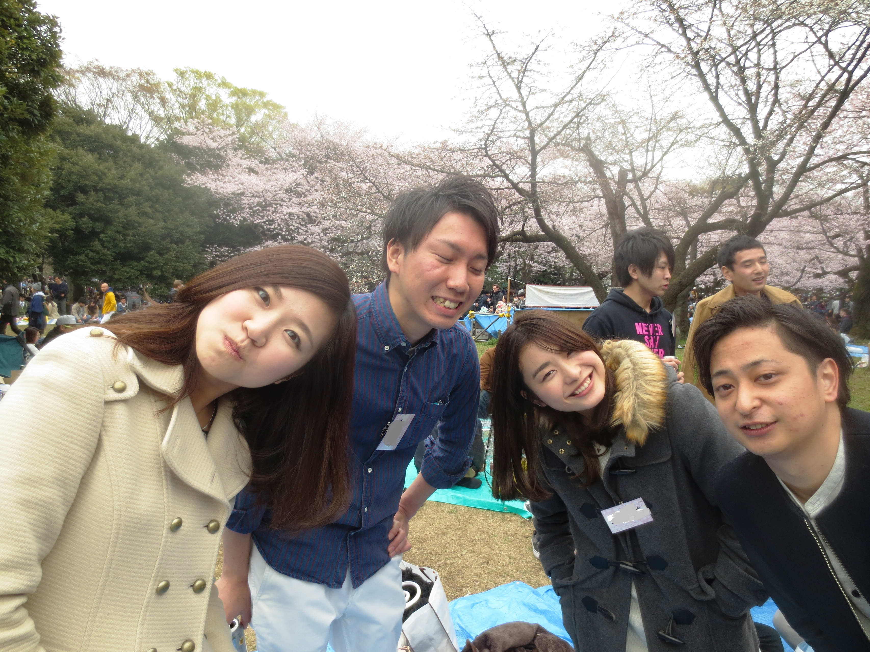 今年のお花見を去年の1.3倍成功させる方法を考えるブログ