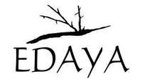 EDAYAの会社情報