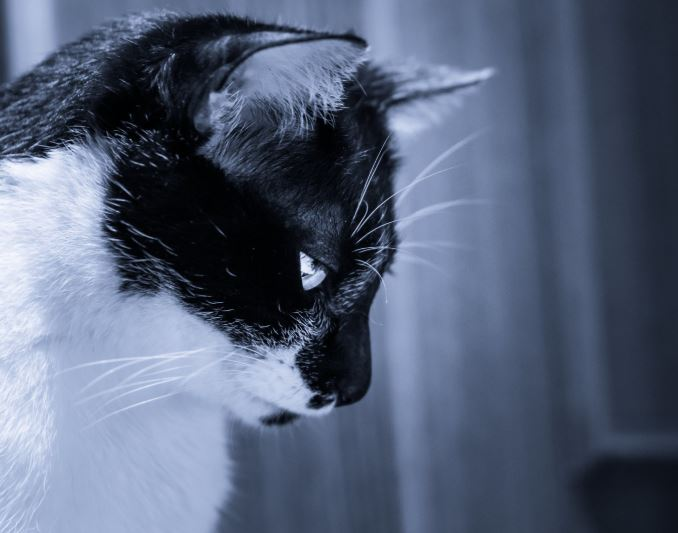 強みを見つけるコツを5つ考えてみた。