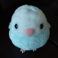 杉本 聖子さんのプロフィール