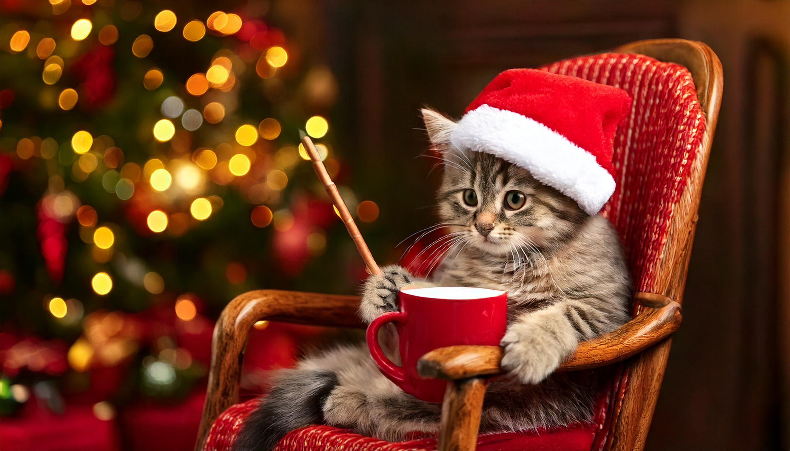 #VOGUE風30の質問答えてみた