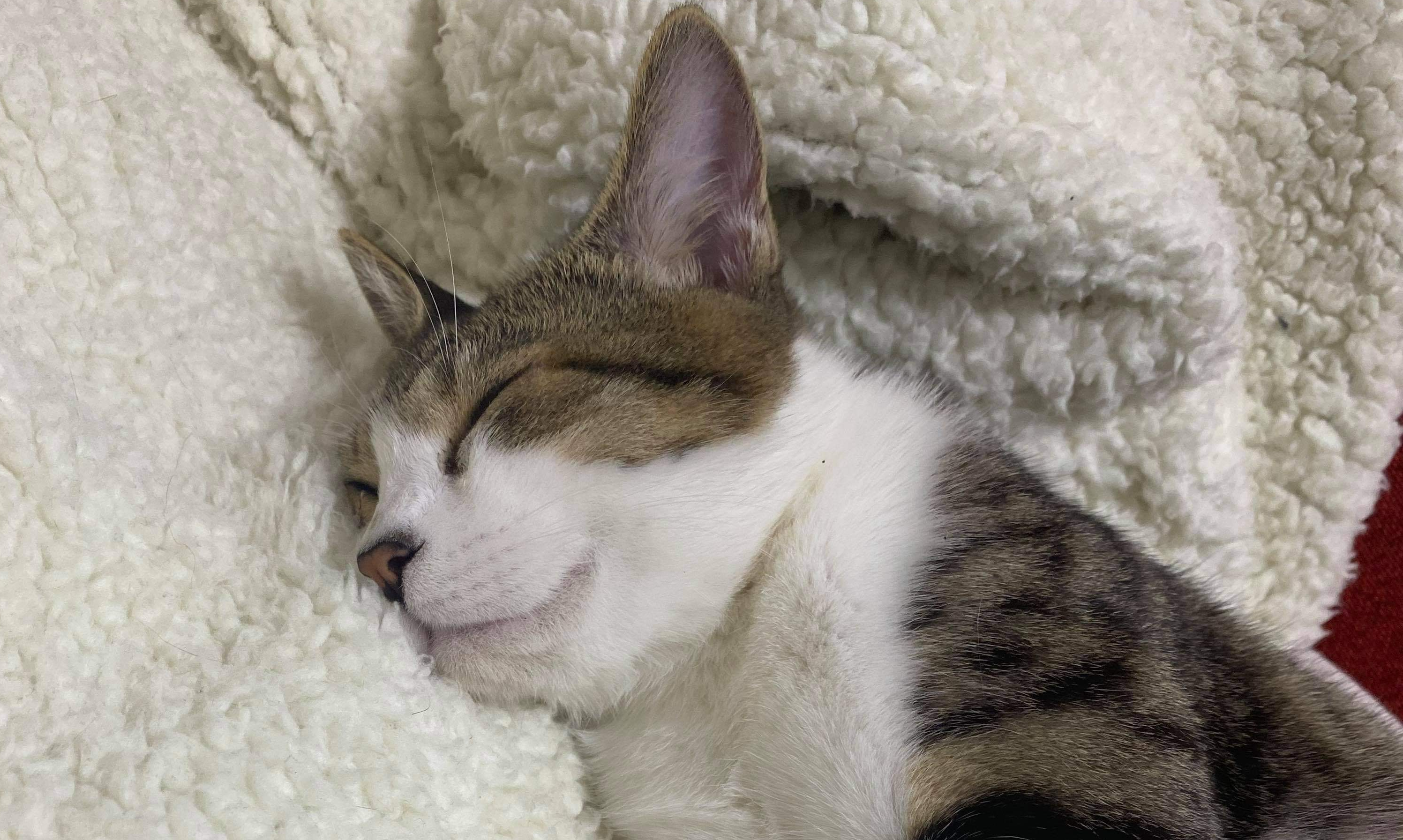 VOGUE風30の質問答えてみた