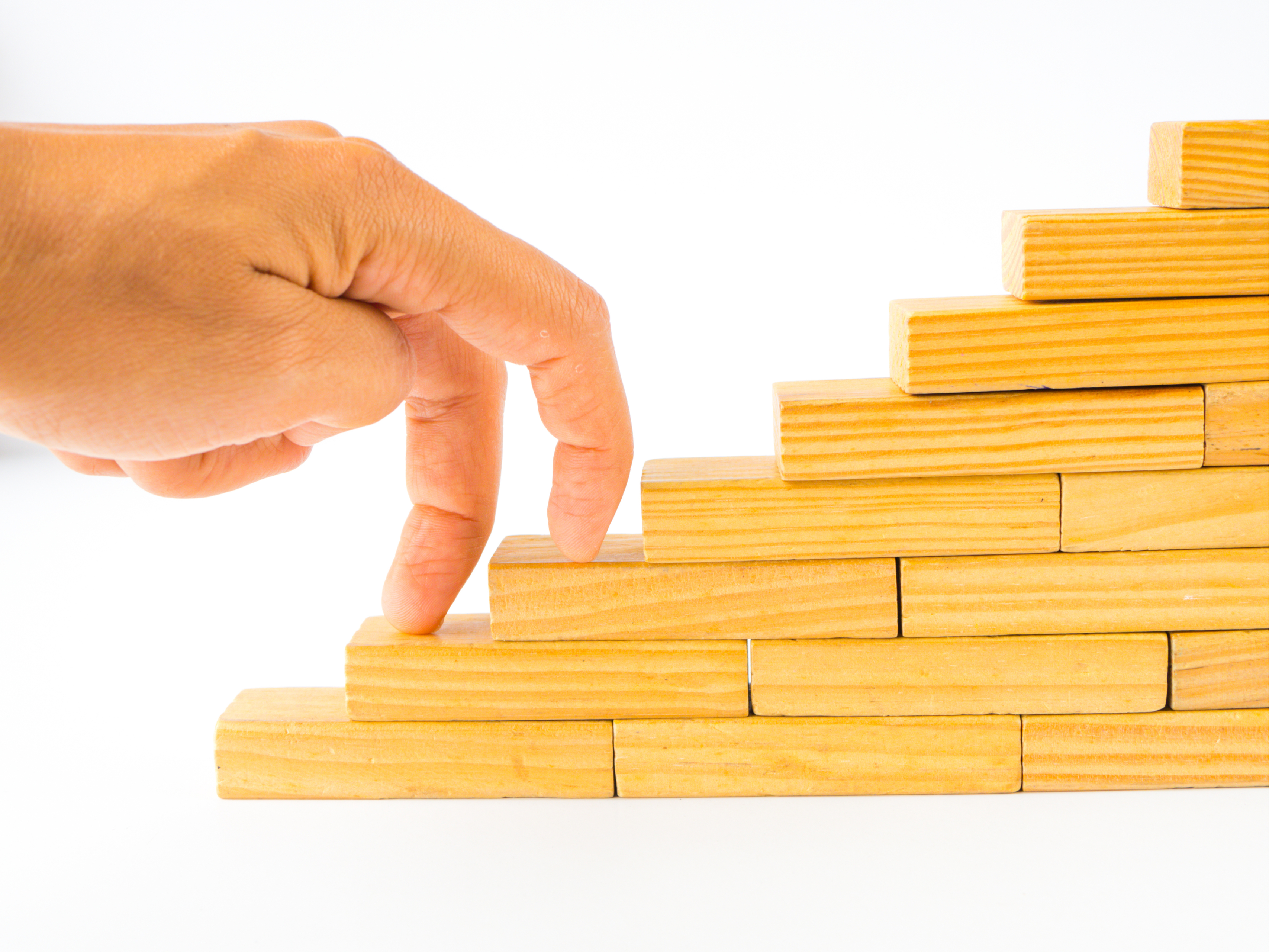 分かりやすく成長している