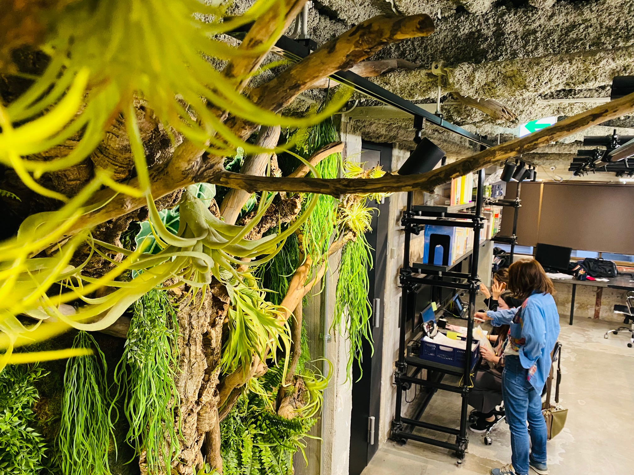 オフィスの風景