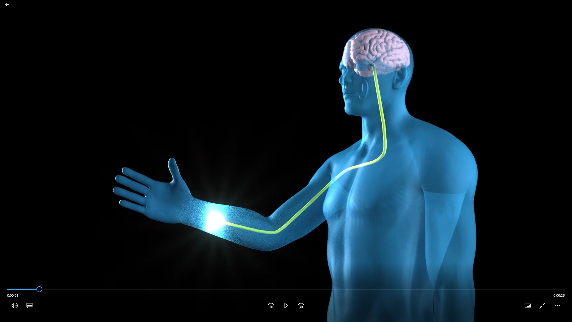 NHK「おはBiz おはよう日本 経済トレンドが5分で分かる」でMELTzが紹介されました