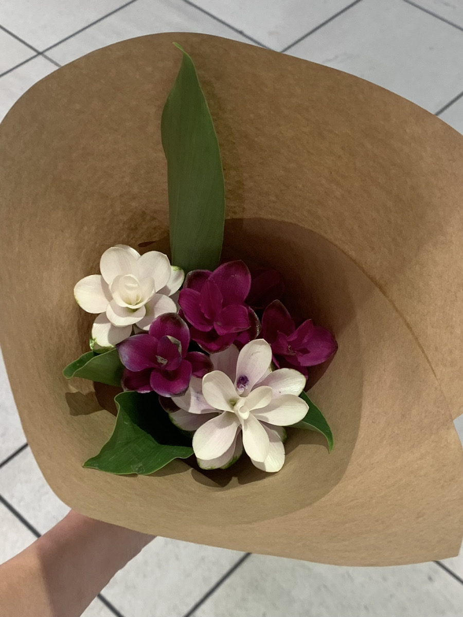 名前変わりました(⌒∇⌒)