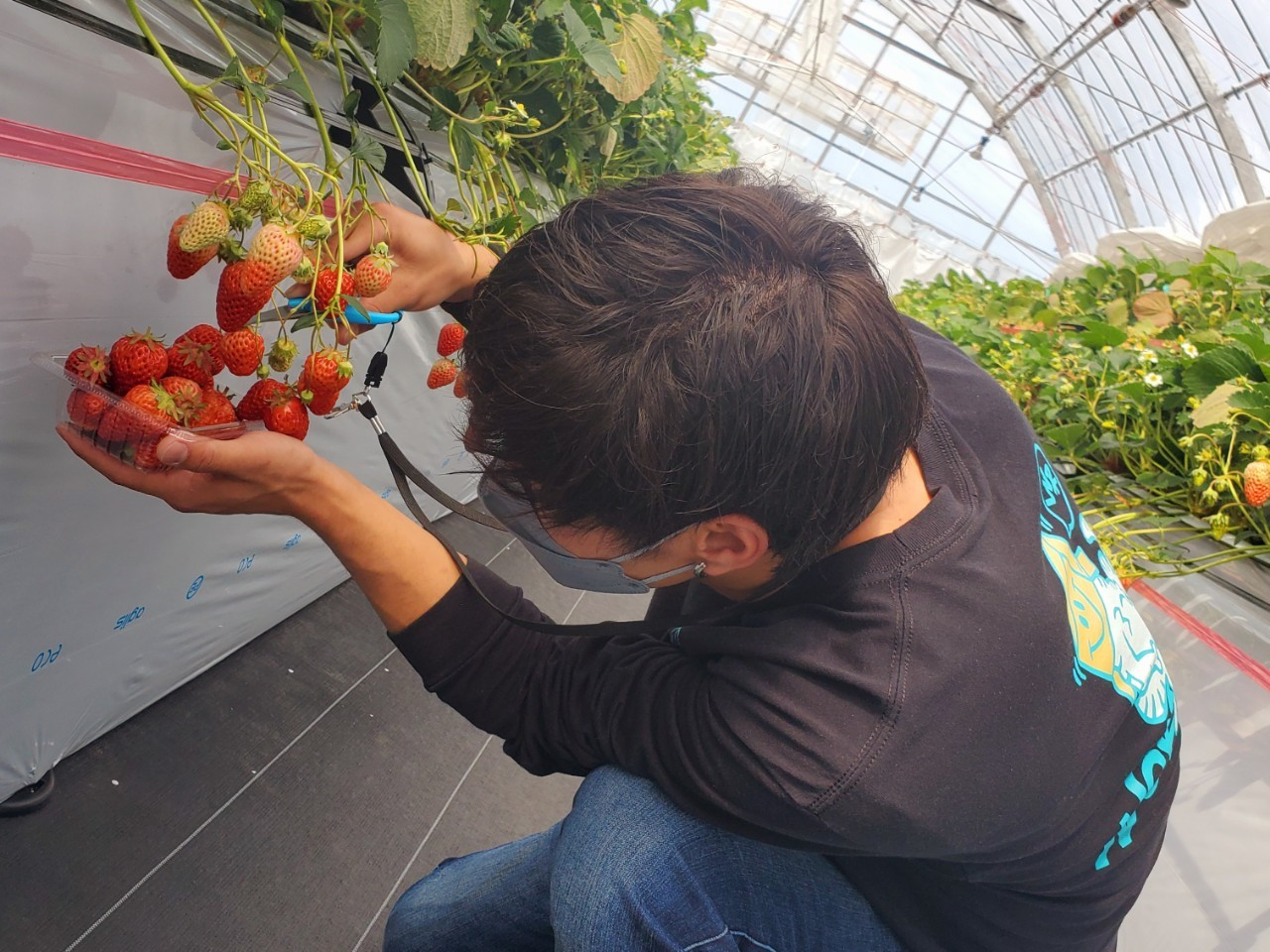 新入社員のはじめての投稿！よろしくお願いいたします。。