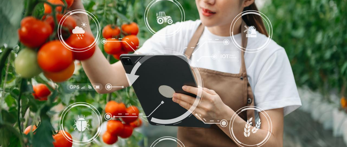 データのチカラで農業をハックする、データサイエンティストを募集！