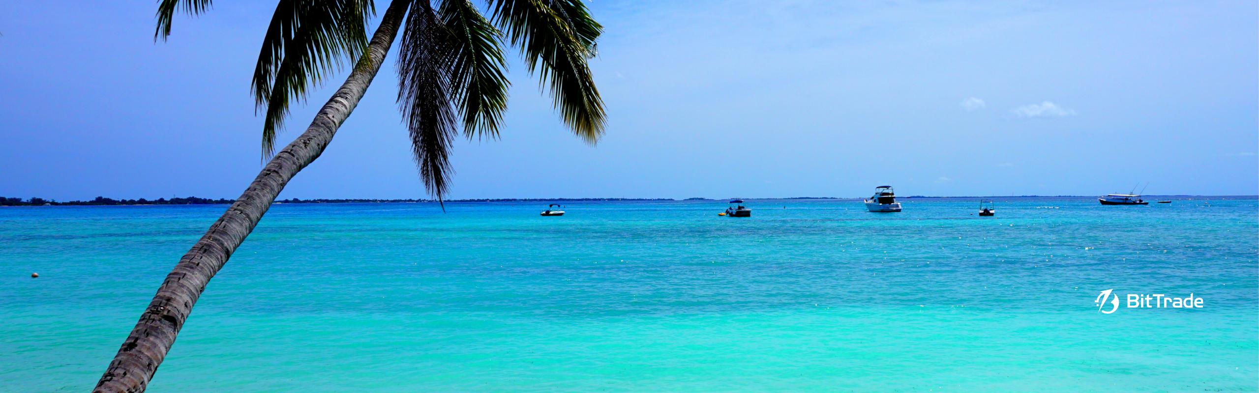 ビットトレード社員旅行2025 in 沖縄