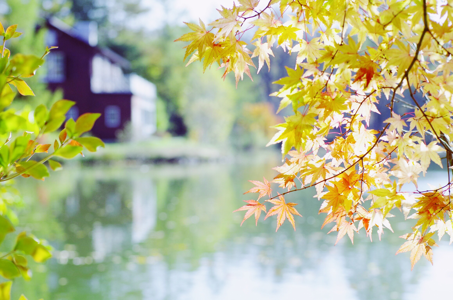 大切にしている価値観・行動指針