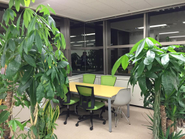 ちょっとした社内打合せをするときは窓際の癒しスペースで