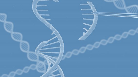ノーベル化学賞：クリスパーキャス9「CRISPR-Cas9」って何が凄いの？