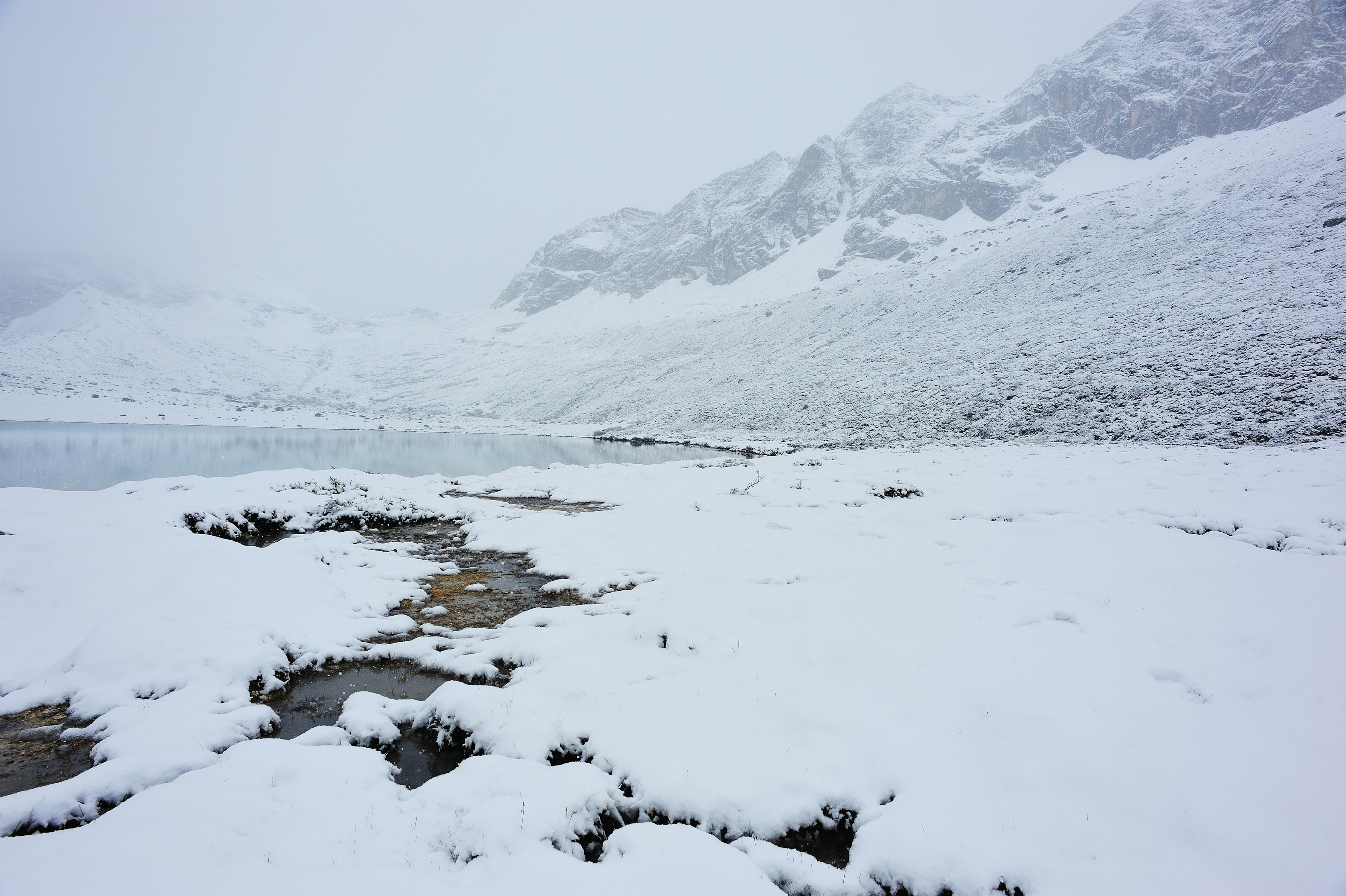 2024年もありがとうございました！