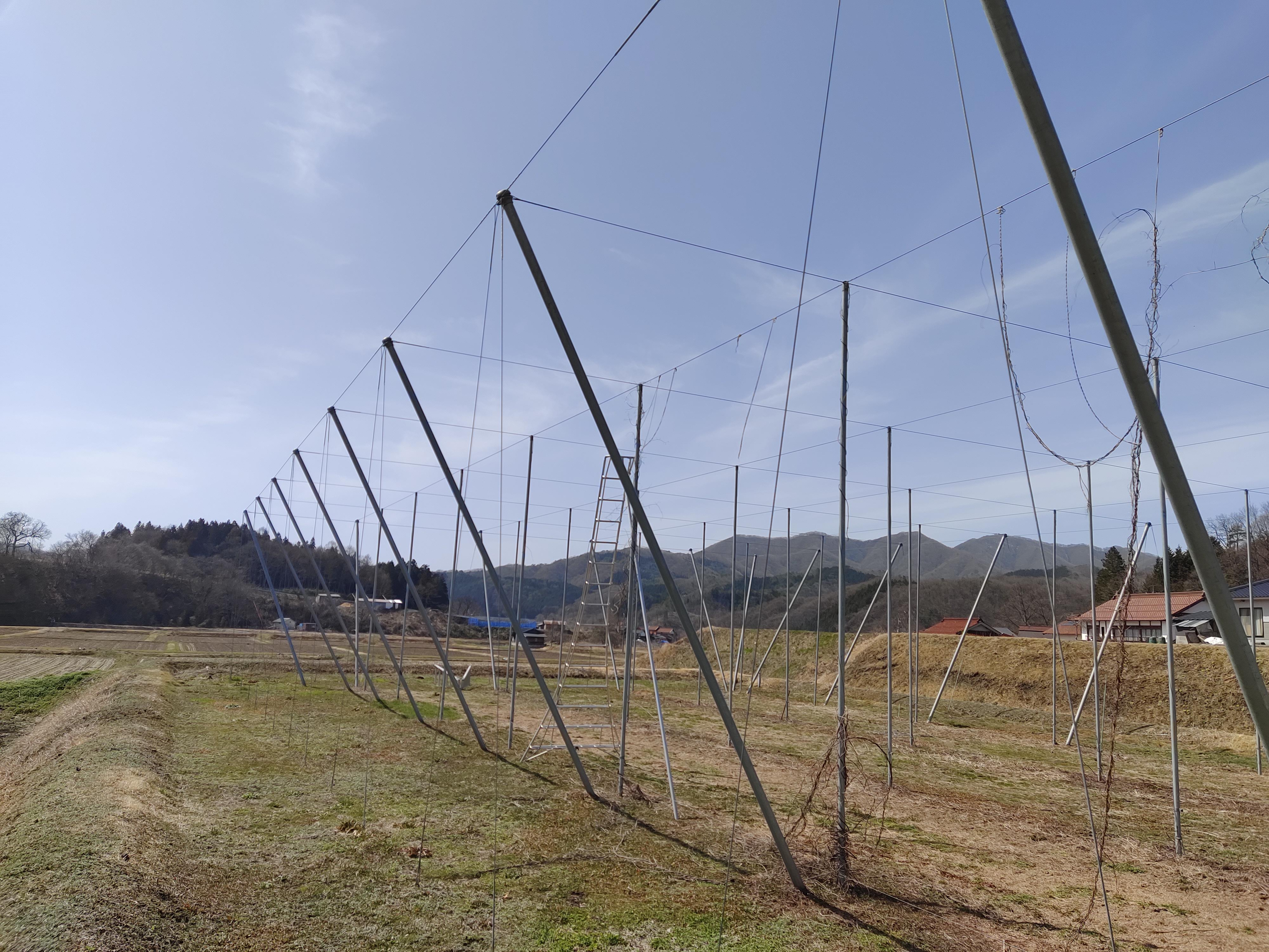 新規事業はキャンプ場？クラフトビール？　　　　　　　　実際に立ち上げのストーリーお見せします！