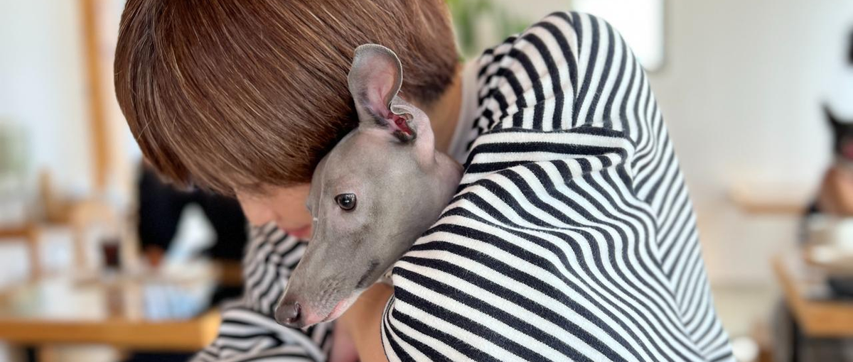 世界を変えるプロダクト、いっしょに作りませんか？カスタマーサクセス募集