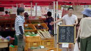 旬採れたて無農薬野菜のマルシェ販売