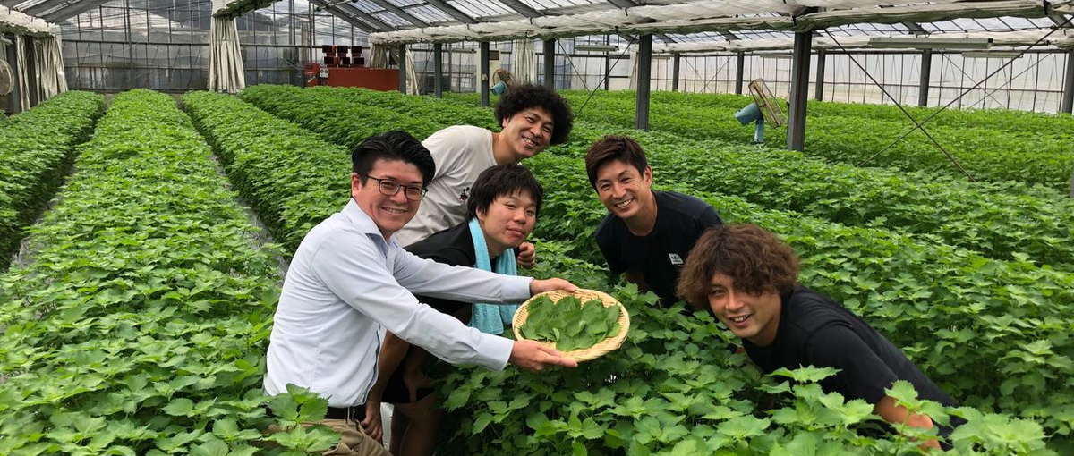 双方から届くありがとうがやりがい！生産者とドラッグストアを繋ぐ卸売営業担当