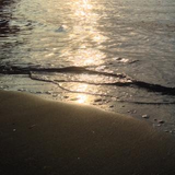 三谷 翔太郎
