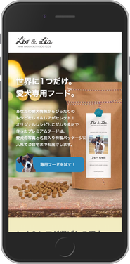 ウェブサイト