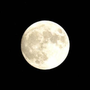 細川 裕仁