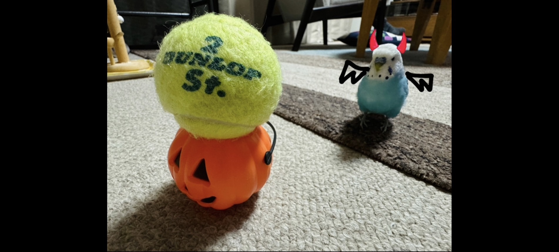 Trick or job change!!