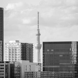 Kawamorita Masahiro