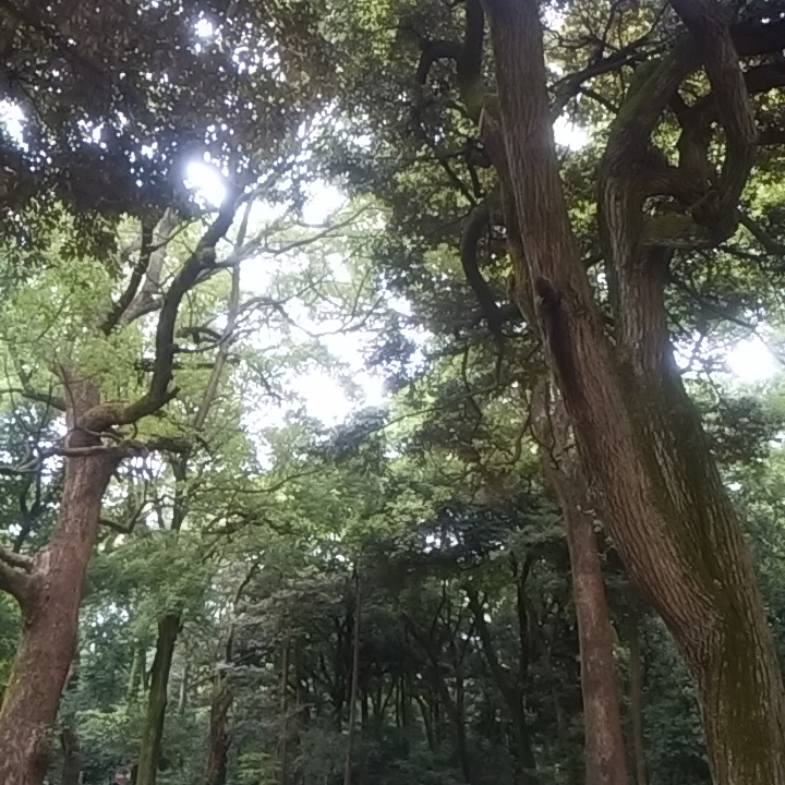 「文章を書く」ことが私を救ってくれました