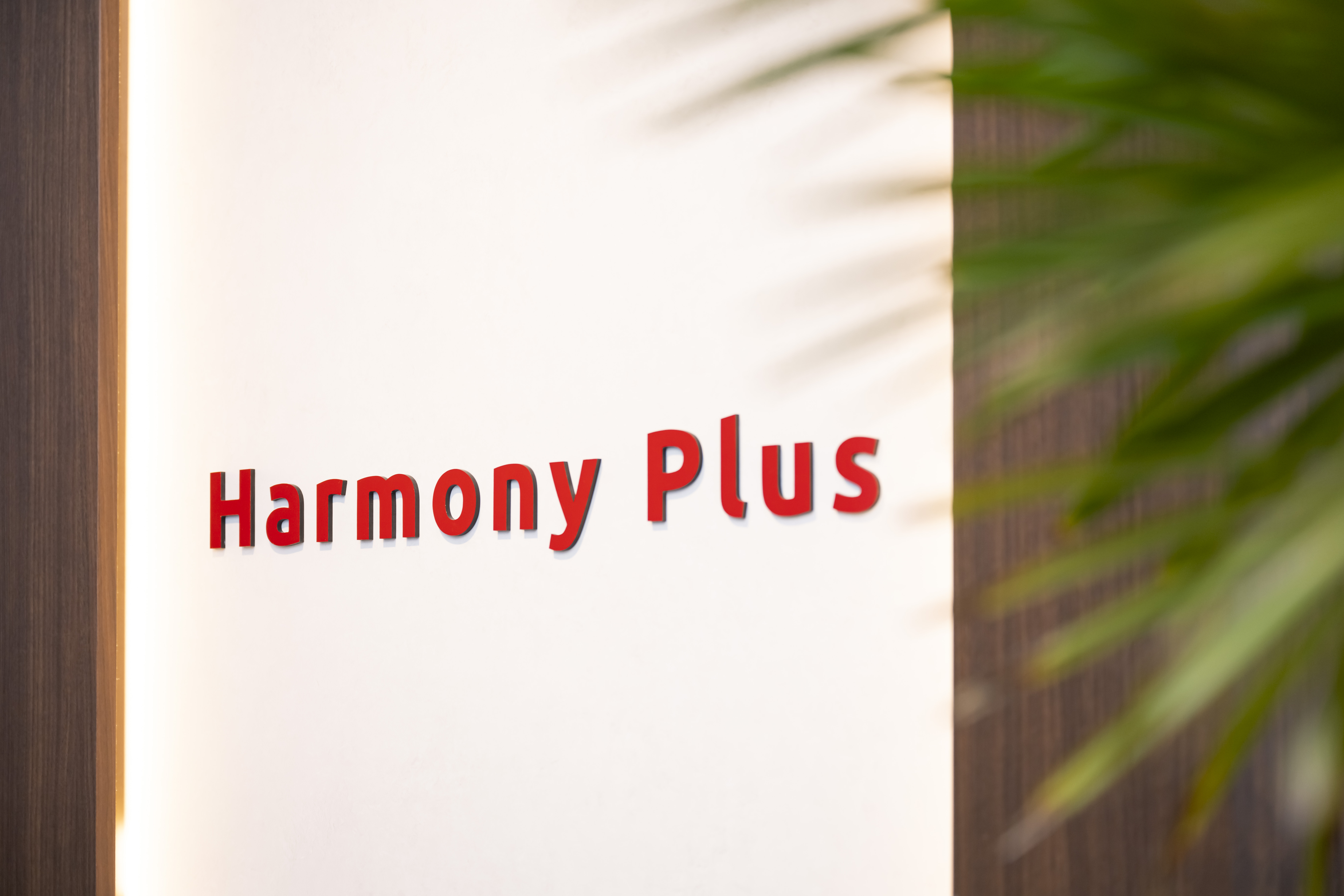 挑戦する人を、全力で支える会社。――Harmony Plusの文化とは？