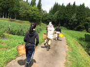 いろりのメンバーも農家さんのもとへ行き、実際に現状を学んでいます。