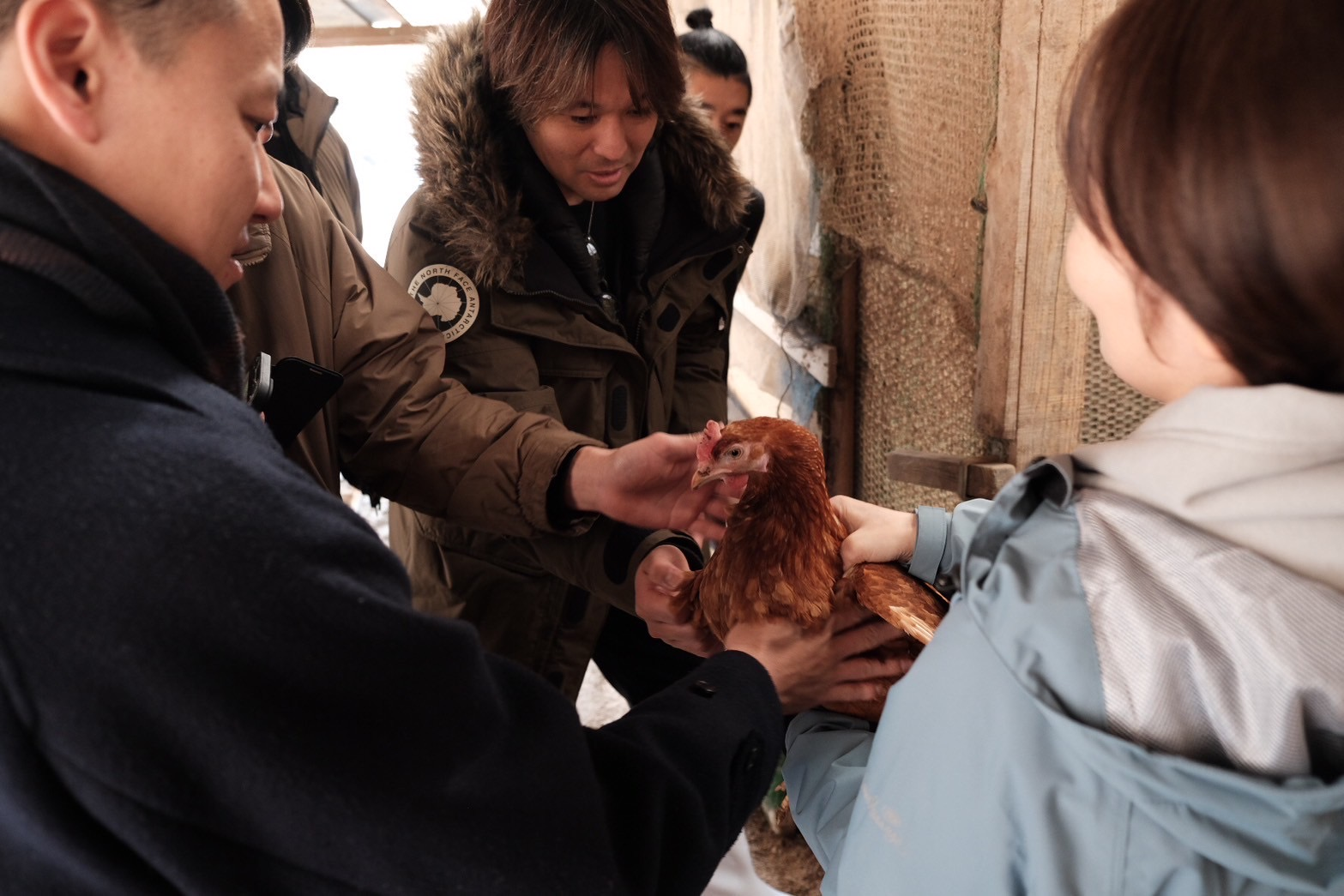 食材の背景を知ることが、料理の奥行きをつくる── IWAI料理人が大切にする感情の育み方