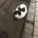 ミユキ 齊藤