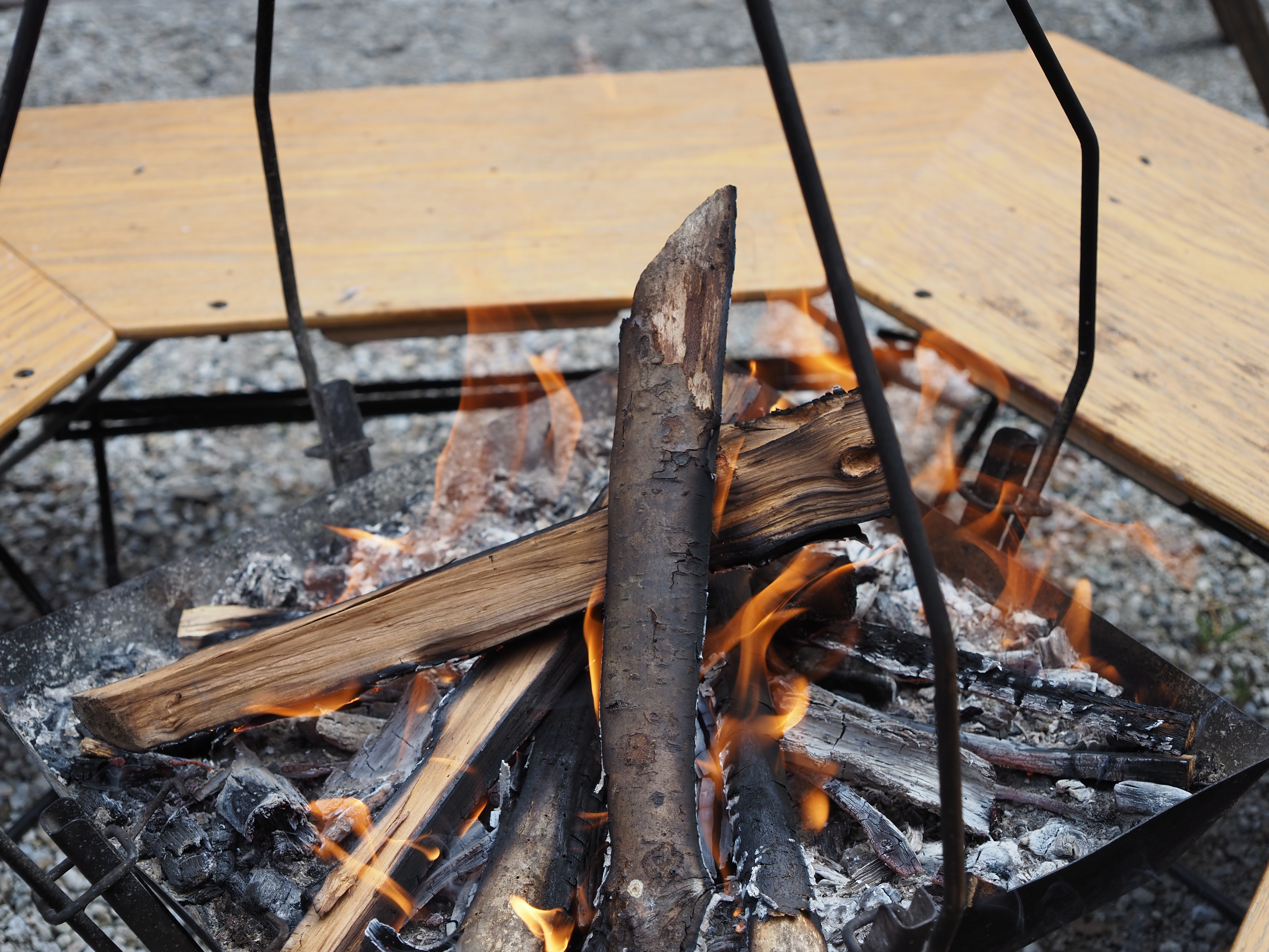 社員研修in島根　～だんだんオフィスの自由行動～