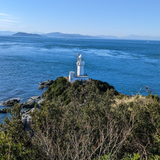 島崎 麻生