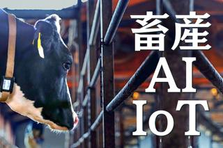 資金調達16億|全国から選べる｜営業＆戦略スキルを磨きたいセールス募集！
