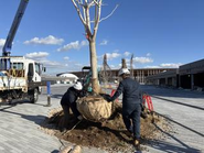 国内外で様々な事業に携わっています！