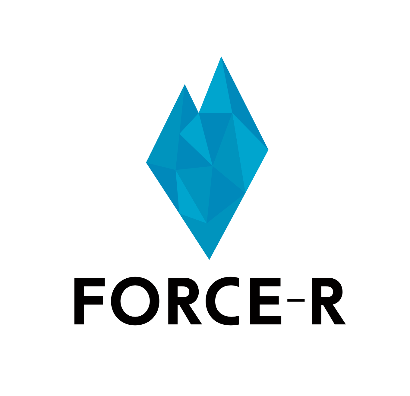 FORCE-R株式会社